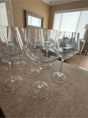Pottery Barn Clear Acrylic Wine Glasses - Transparent Stemware Set of 4